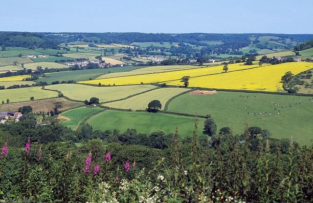 Photo of farming countryside (Credit: Torridge DC)