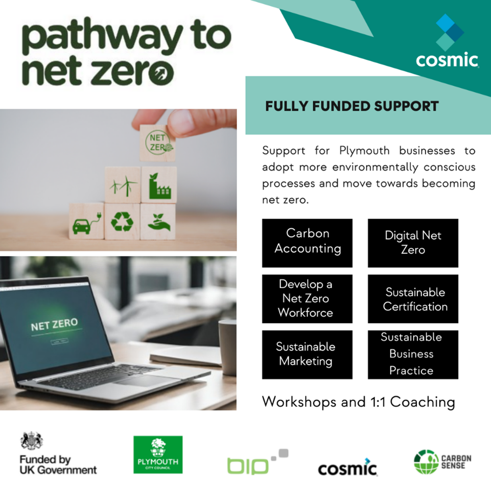 Plymouth Pathway to Net Zero banner