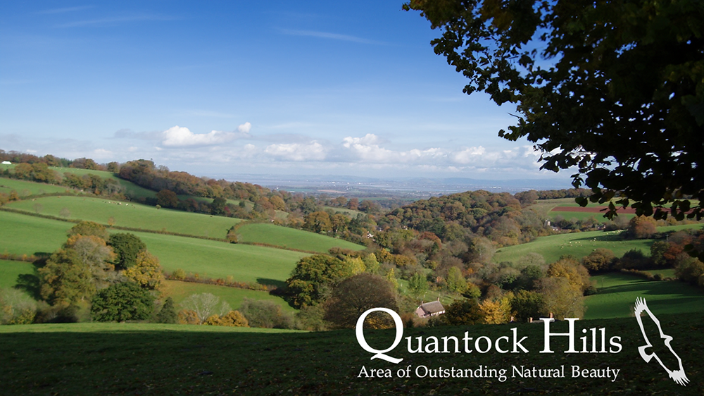 Quantock Hills AONB landscape